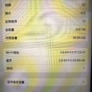 iPad pro 11 M1 256G