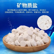 Aquarium Salt Ornamental Sea Salt For Aquarium Sterilization || Disinfectant Disease Control Salt || Water Purifier Salt