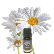 羅馬洋甘菊精油 ROMAN CHAMOMILE
