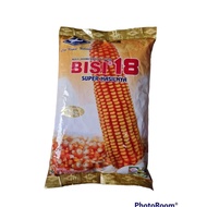 Rumah Benih Jagung Bisi 18