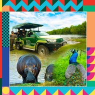 Paya Indah Discovery Wetland Gamuda Cove Selangor