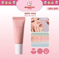 INTO YOU Water Mist Blush Into You Brush Makeup Into You