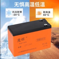 Agricultural Electric Sprayer 12V8A10A12A16A20A Rechargeable Battery Maintenance-Free Set/11.23