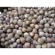 PEK 500GM BAWANG PUTIH TUNGGAL/BAWANG LANANG/BAWANG PUTIH JANTAN