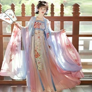Hanfu Tang Dynasty Inspired Skirt with Elaborate Embroidery
