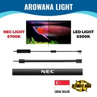 Yee NEC Arowana Tanning Light, Aquarium Light, Body Color Booster, Japan Technology, IP68 Water Proo