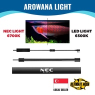 Yee NEC Arowana Tanning Light, Aquarium Light, Body Color Booster, Japan Technology, IP68 Water Proof Diving Lamp