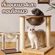 【M-Ting】คอนโดแมว ที่ลับเล็บแมว หลุมอวกาศแมว ที่นอนเเมว4เสา พร้อมหลุมใสอะคริลิคและเสาฝนเล็บ ของเล่นแม