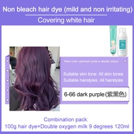 Hair color dyepopular hair dye creamno need to bleach and no harm to hair Healthy Mild No Stimulatio