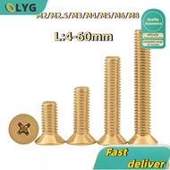 JF Machine Screw/Countersunk Screw / Flat Head Screw (Copper/tamad)  M2/M2.5/M3/M4/M5/M6/M8