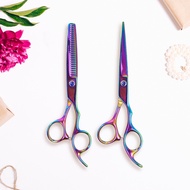 NV1 Bfaccia Straight Hair Scissors Buffing Stainless Steel 4Cr13 2 PCS - M1325