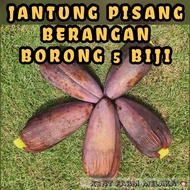 🇲🇾Ship in 4Days🇲🇾Borong 5 Biji Jantung Pisang Berangan / Banana Berangan Flower / 批发红肉蕉香蕉花