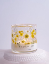 含羞草療癒植物燈籠 + 可選香氛蠟燭組 (可更換為 LED 蠟燭)