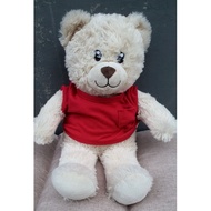 Teddy Bear Build a Bear Doll Bear Chapter Bear