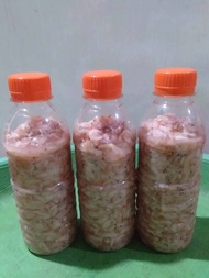 Hakoi/Hekoi/Cincalok Udang Pontianak 320gram