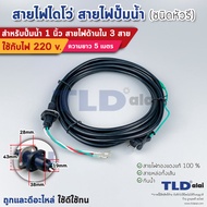 สายไฟปั๊มน้ำไดโว่ 1 นิ้ว สายไฟ 3 สาย ยาว 5 เมตร ขนาดสายไฟ 1.5sq.mm. หัวรี มีปลั๊กในตัว