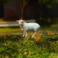 Miniature Diorama Animal Farm 1/64 Sheep no.2 -h3d