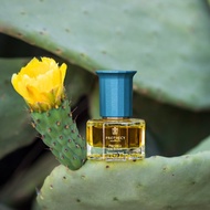 抗老精華油 ─【鉑翡斯】仙人掌籽超能量金萃油 15ml 植萃 保養油