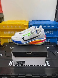 【BIG SIZE SELECT】Nike Air Zoom GT Cut Ghost DX4112-114