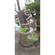 Pelitir sancang bonsai Pelinting sancang bonsai material