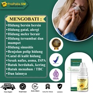 Obat Alergi Hidung Gatal - Alergi Debu - Alergi Dingin - Hidung Meler - Hidung Tersumbat / Mampet -