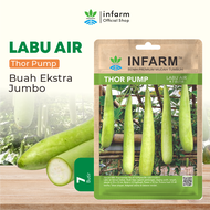 INFARM-Benih Super Labu Air Bibit Super Labu Air Biji Super Labu Air Benih Labu Air Biji Labu Air Bi
