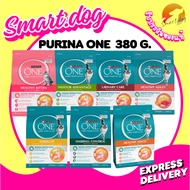 Purina One Cat Food 380 G. Purina One Indoor Purina One Urinay Care
