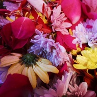 7 types of flowers for mandi bunga