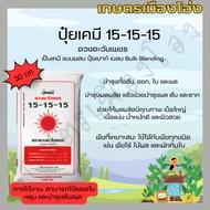 ปุ๋ยเคมี สูตร 15-15-15 ขนาด 50 กิโลกรัม เป็นเคมี แบบผสม ปุ๋ยเบาท์ เบลน Bulk Blending