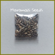 ➩ – ➣ Maramais Seeds Per Pack