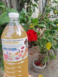 Calphos calcium phosphate 1 liter organic foliar for plants source of calcium for animals