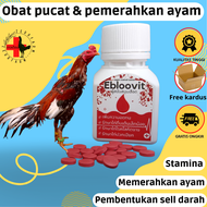 vitamin untuk ayam pucat anemia penambah darah dan stamina ebloovit isi 100 tablet zeorfarm