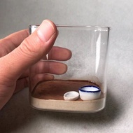 Supplies Internet Celebrity Style Ecological Cricket Jar Grasshopper New Box Cricket Singing Insect 