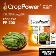(200 GRAM) Biji Benih Kacang Pis Leper Belanda Doremi 豆来米 FP200 CROP POWER Flat Pea Seed 荷兰扁豆种子 FP 2