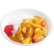【Direct from Japan】DIY food sample kit for begginers(Japanese curry rice)