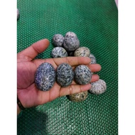 Termurah !!! Batu Telur Puyuh/batu koral kemasan 1kg Batu taman