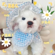 Pet Hat Set Cat Hat Cute Plaid Headgear Dog Small Lace Collar Dog Sweet Set Cat Hat Dog Hat Pet Hat