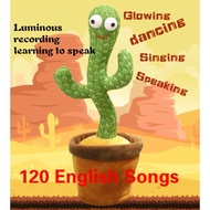 Dancing Cactus Cactus Plush Toy Talk Kaktus Bercakap Dancing toy song Dancing Cactus Early Childhood