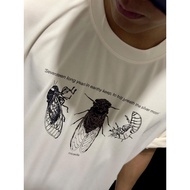 Cicada Oversized T Shirt (CREAM) – Hand-Drawn Intricate Drawing of Cicada