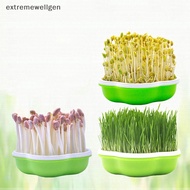 [extremewellgen] Garden  Peanut Sprout Box Bean Pea Wheat Seedling Sprouter Tray Grass @#TQT