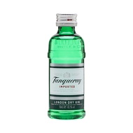 奎寧琴酒迷你酒 TANQUERAY GIN MINI PET