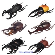 WELLNESSSPOT Special Lifelike Model Science Toy Trick Props Insect Toy Simulation Animals Fake Beetl
