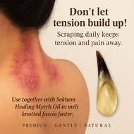 CLEO Dragon Bone Gua Sha Tool | Warming Massage Scraper | Stiff Neck & Fascia Release