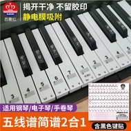 Piano Keyboard Sticker Electronic Keyboard Keyboard Sticker Keyboard Sticker Staff Note Sticker 88 K