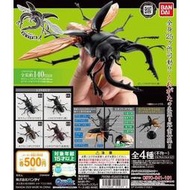 (北市可面交,請詳讀內容) 現貨 代理版 扭蛋 轉蛋 BANDAI 鍬形蟲環保扭蛋01 鍬形蟲 昆蟲 大全4款