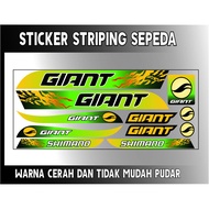 Giant BIKE POLET STRIPING MOTIF STICKER