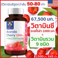 Alpha Life Vitamin C 1000mg Acerola Cherry + Multivitamin อะเซโรล่าเชอร์รี่ วิตามินซี 1000mg + วิตาม