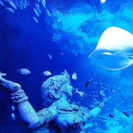 Ticket Voucher Aquaria Phuket