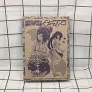 Toy's Works High School DxD Himejima Akeno Dragon Age Appendix Anime Figure