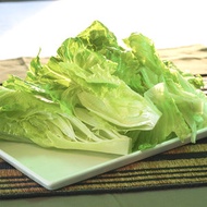 唐生菜 #洗好#火鍋#打邊爐